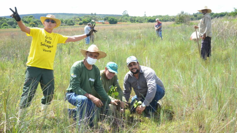 Consultoria no projeto de recuperação de Lagoa, no município de Cocalzinho.